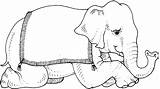 Coloring Elephants Disegni Elefanti Colorear Elefantes Elefant Circo Elefante Douche Slonovi Crtež Olifant Bojanke Dvadeset četrdeset Indian Paginas Gifgratis Coloratutto sketch template