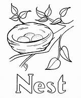 Nest Coloring Pages Drawing Bird Kids Birds Printable Easy Alphabet Activity Pre Letter Colouring Abc Sheets Ws Clipart Color Letters sketch template