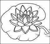 Lily Coloring Water Pages Flowers Lilies Flower Patterns Online Drawing Coloritbynumbers Printable Pond Painting Book Kids Sheets Monet Visit Choose sketch template