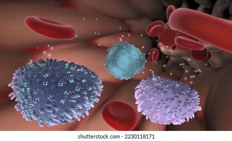 immune system white blood cells antibodies stock illustration