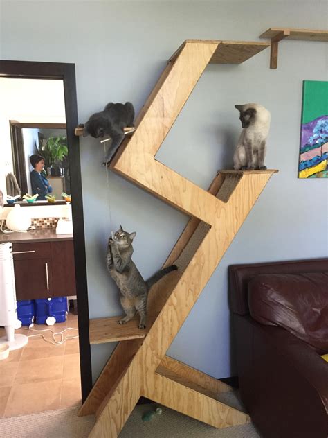needed   tall cat tower   decided    totally  album  imgur