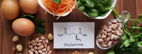 Foods High In Glutamine Holland And Barrett