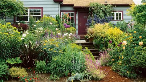 guide  growing  english cottage garden   west sunset