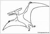 Pages Pteranodon Coloring Printable Spread His Wing Dinosaurs Pteranodons Two Kids sketch template