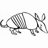 Armadillo Coloring Pages Printable Animals Animal Color Animalstown Choose Board sketch template