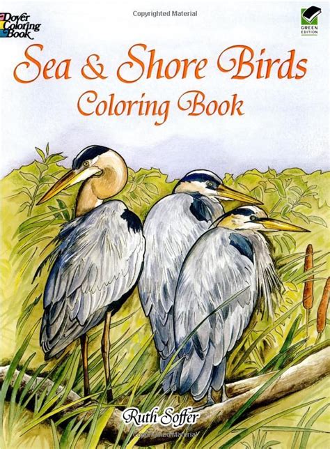 amazoncom sea  shore birds coloring book dover nature coloring