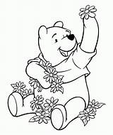Pooh Winnie Coloring Disney Pages Characters Animal Cartoon Cute sketch template