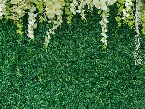 2020 Green Grass Wall Flowers Decoration Vinyl Photography