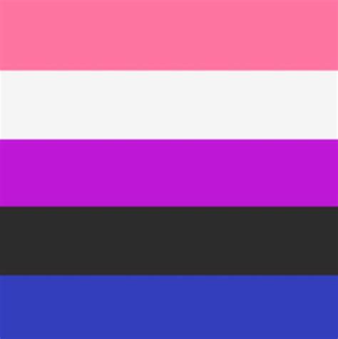 Gender Fluid Pride Flag Pride Flags Gender Flags Lgbtq Flags