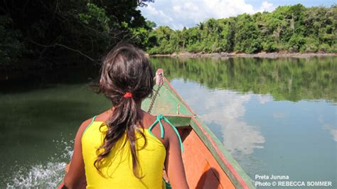 photos from empower indigenous brazilians to save their amazon