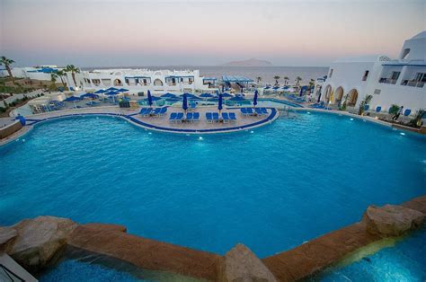 albatros palace sharm updated  prices hotel reviews