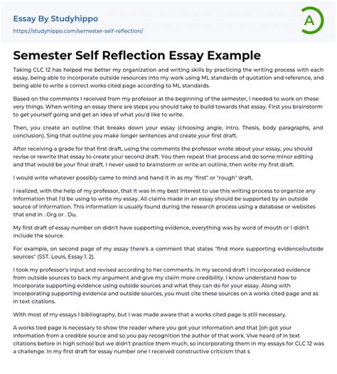 semester  reflection essay  studyhippocom