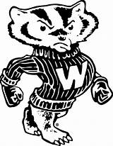 Wisconsin Badger Badgers Bucky Secondary Sportslogos Ncaa Mascots Vhv 1970 sketch template