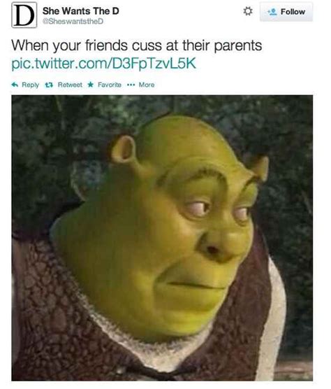 awkward dinner moments at a friend s house funny pictures shrek memes funny pins