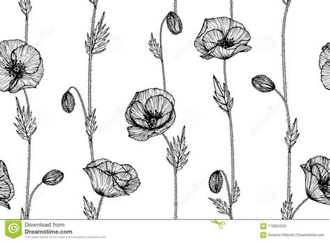 poppy flower  leaves pattern seamless background illustration stock