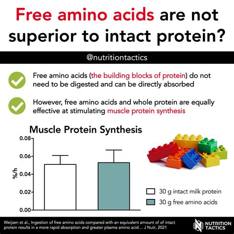 amino acids   superior  intact protein