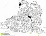 Stylized Swans Zentangle Two Adult Preview sketch template