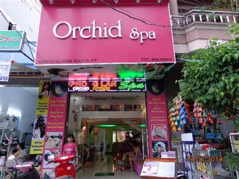 orchid spa orchid spa