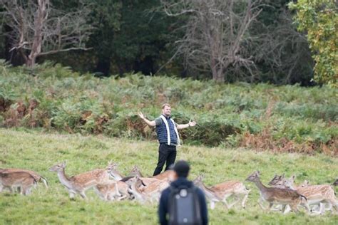 moment man tries to take ‘instagram photos with deer in