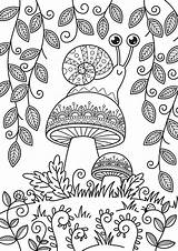 Snail Antistress Libri Miniatura Adulti Funghi Colorazione Coloritura Adulta Lumaca sketch template