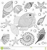 Volwassen Vissen Getrokken Shells Zentangle sketch template
