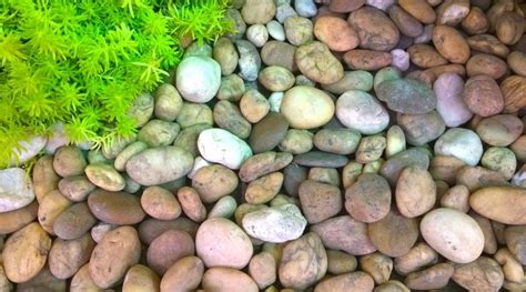 gravel buy in bulk or bagged gravel online patuxent nursery