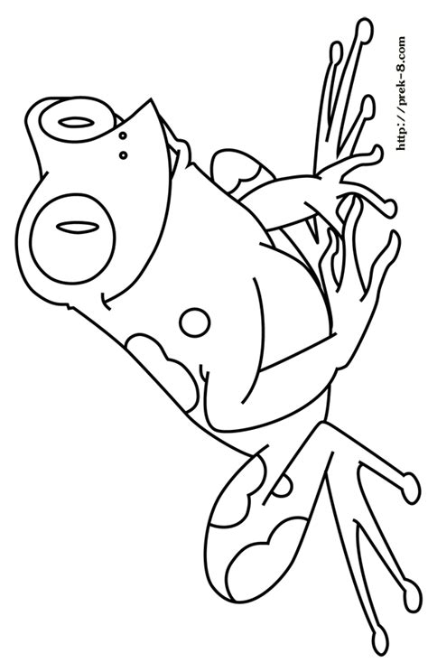 coloring page tree frog frog coloring  frog coloring