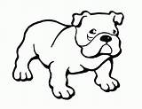 Coloring Bulldog Pages Printable Popular sketch template