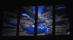 Rear Projection on Glass Windows using DigiDisplay Film - video Dailymotion