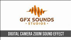 Digital Camera Zoom Sound Effect