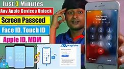 How to Unlock iPhone without Passcode or Face ID | MagFone iPhone Unlocker