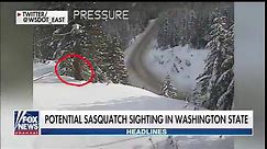 Bigfoot spotted on Washington State Department of Transportation webcam?