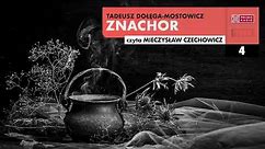 Znachor #04 | Tadeusz Dołęga-Mostowicz | Audiobook po polsku