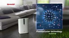 Sharp Plasmacluster Air Purifiers