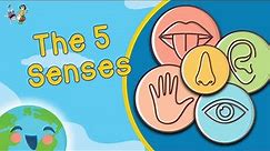 Five Senses For Kids (Learning Videos For Kids)