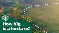How big is a hectare?