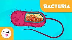 What are bacteria? - Science for Kids