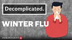 What causes the winter flu and how does it differ from other types of flu and colds? | Decomplicated