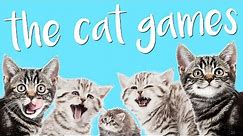 BEST GAME EVER MADE!! | The Cat Games