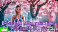Healing Harmony: Music to Restore Heart, Nerves, and Soul - Live Relaxing Broadcast Calming Music, S