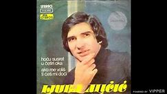 Ljuba Alicic - Hocu susret u cetiri oka - (Audio 1979)