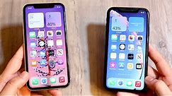 iPhone 11 Vs iPhone XR In 2021! (Comparison) (Review)