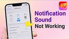 [iOS 17] How to Change Notification Sound On iPhone (Instagram/WhatsApp Notification Not Working）