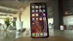 Apple iPhone Xs Review: A (S)mall Step Up! #iphone #usa