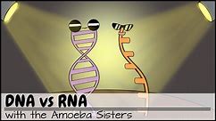 DNA vs RNA (Updated)