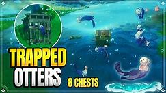 Save The Trapped Otters!!! | 8 Otter Chests | World Quests & Puzzles |【Genshin Impact】