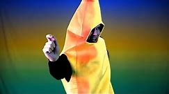 I'm A Banana (Every Banana Song)