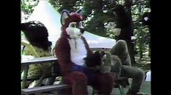 WPAFW 2019 - Recorded on 1985 Emerson VHS VCR & Konica Camera