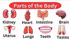 Learn Parts of the body/ Parts of the body in english with Pictures/internal and external organs