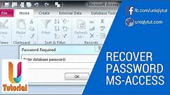 Recover password from Microsoft MDB (Access Database)